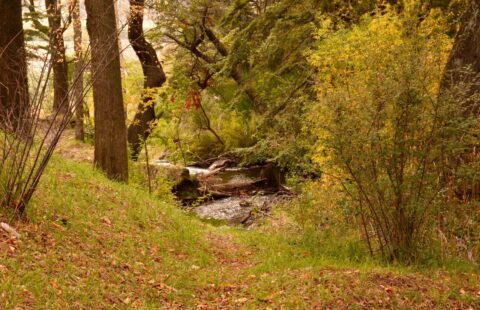 Lote 45 – Tierra del Sol | SMA001