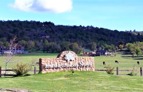 Lotes Los Ñires | SMA016