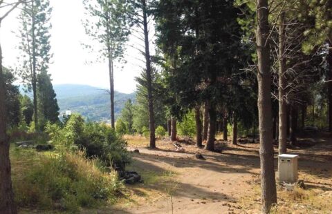 Terreno en Barrio La Jauría | SMA028