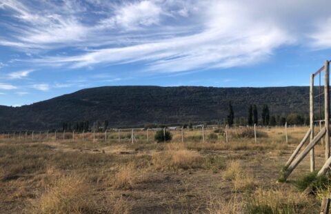 Loteo sobre ruta 40 | SMA031