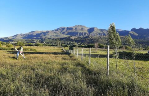 Loteo en Callejón de Torres | SMA078