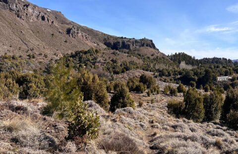 Lotes en cuesta sepúlveda | SMA089