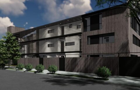 La Lianita II | SMA093