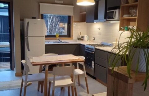 Increíble monoamiente céntrico | SMA094