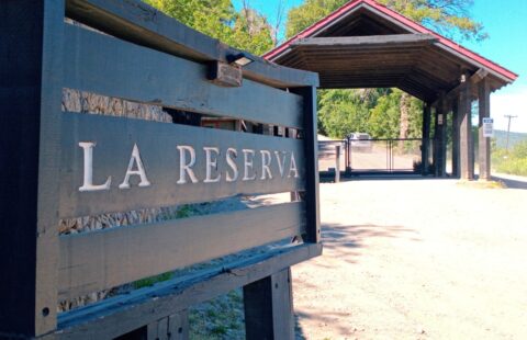 Lote en Reserva Alta | SMA123