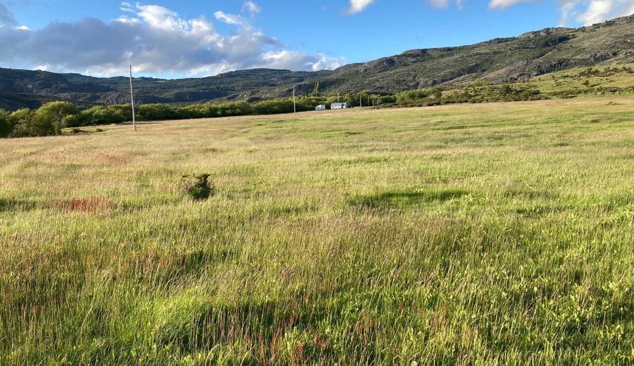 Campo en Río Pico | SMA127