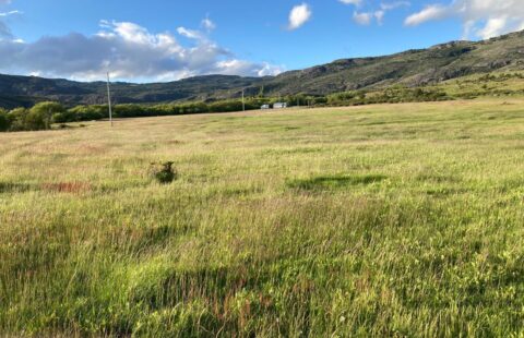 Campo en Río Pico | SMA127