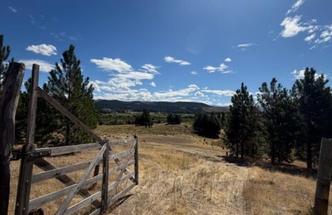 Costa al brazo del Chimehuín | SMA130