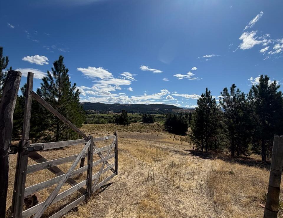 Costa al brazo del Chimehuín | SMA130